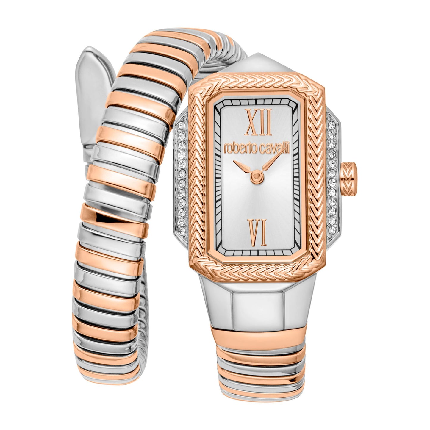 Roberto Cavalli Watches